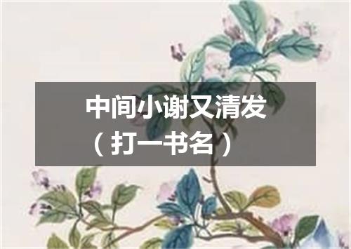 中间小谢又清发（打一书名）