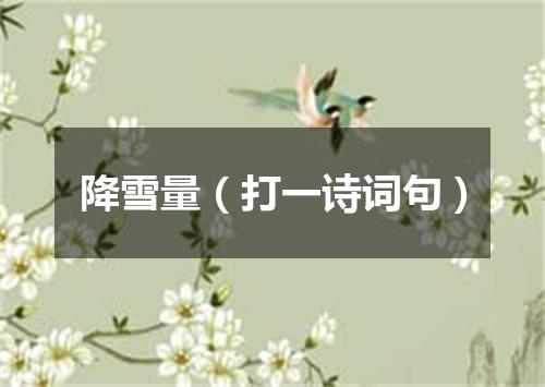 降雪量（打一诗词句）