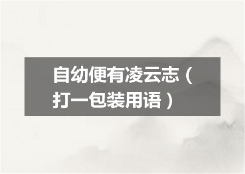 自幼便有凌云志（打一包装用语）