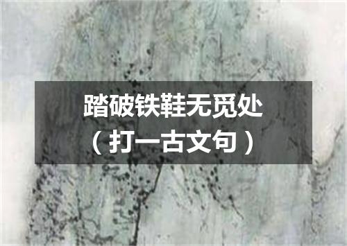踏破铁鞋无觅处（打一古文句）