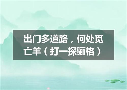 出门多道路，何处觅亡羊（打一探骊格）