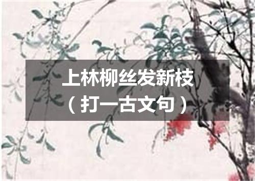 上林柳丝发新枝（打一古文句）
