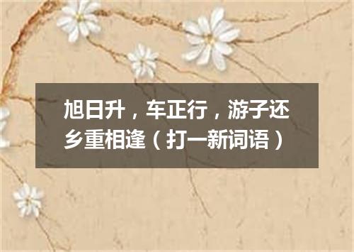旭日升，车正行，游子还乡重相逢（打一新词语）