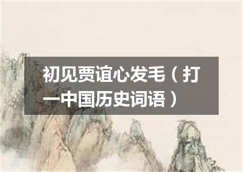 初见贾谊心发毛（打一中国历史词语）