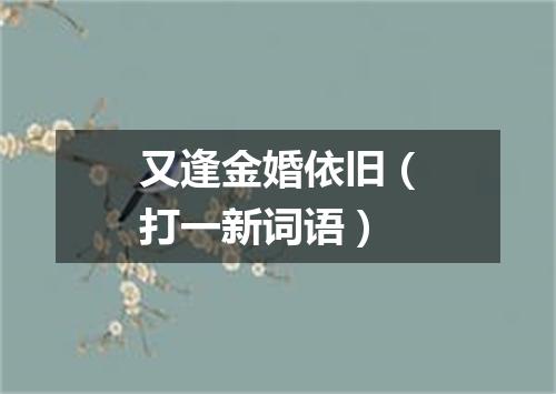 又逢金婚依旧（打一新词语）