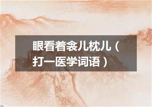 眼看着衾儿枕儿（打一医学词语）