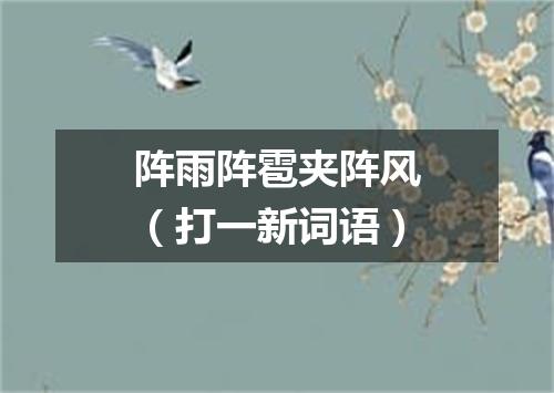 阵雨阵雹夹阵风（打一新词语）