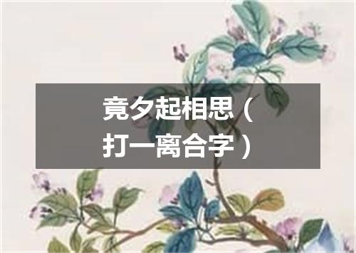 竟夕起相思（打一离合字）