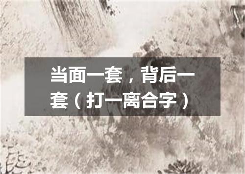 当面一套，背后一套（打一离合字）