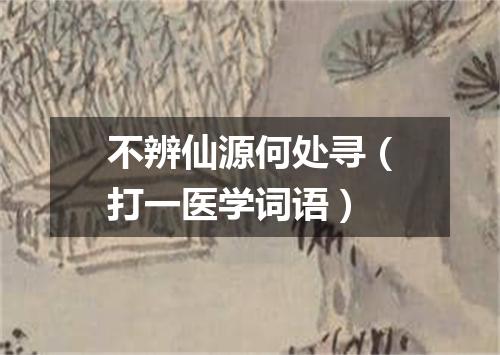 不辨仙源何处寻（打一医学词语）