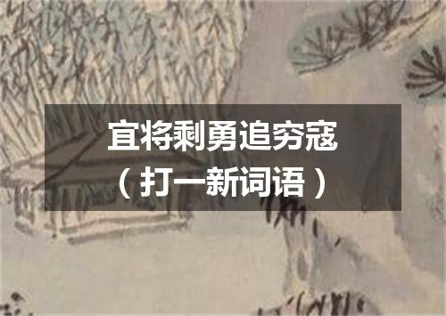 宜将剩勇追穷寇（打一新词语）