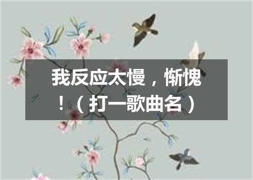 我反应太慢，惭愧！（打一歌曲名）