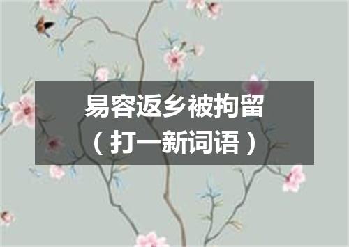 易容返乡被拘留（打一新词语）