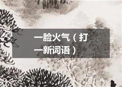 一脸火气（打一新词语）