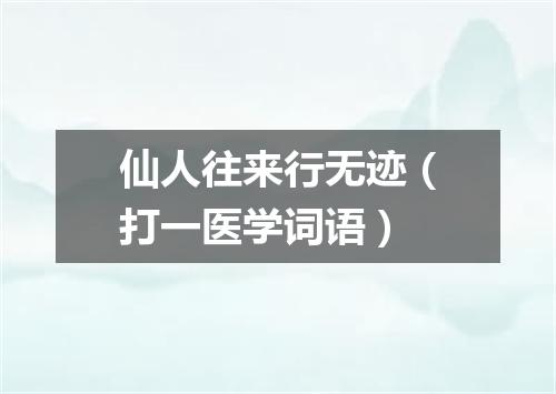 仙人往来行无迹（打一医学词语）