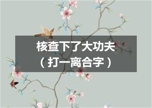 核查下了大功夫（打一离合字）
