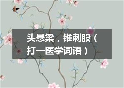 头悬梁，锥刺股（打一医学词语）