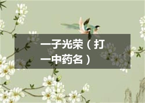 一子光荣（打一中药名）