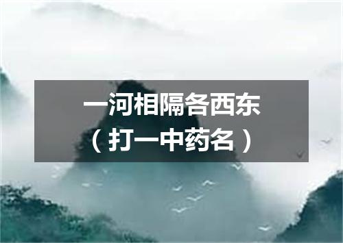 一河相隔各西东（打一中药名）