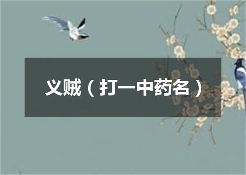义贼（打一中药名）