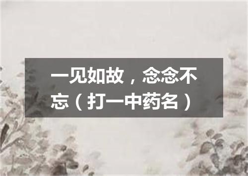 一见如故，念念不忘（打一中药名）