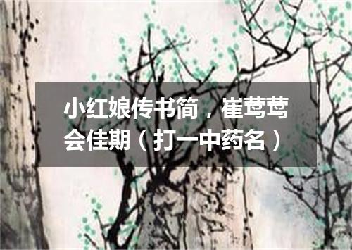 小红娘传书简，崔莺莺会佳期（打一中药名）
