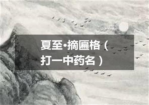 夏至·摘匾格（打一中药名）