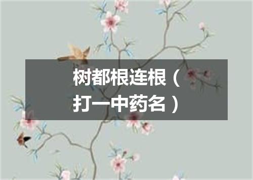 树都根连根（打一中药名）