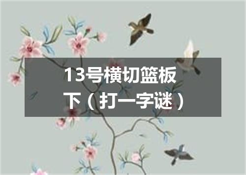 13号横切篮板下（打一字谜）