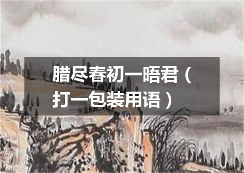 腊尽春初一晤君（打一包装用语）