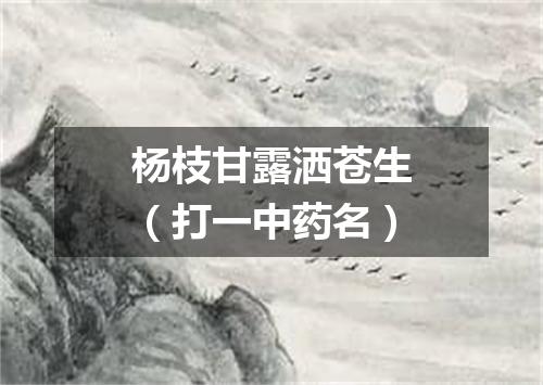 杨枝甘露洒苍生（打一中药名）
