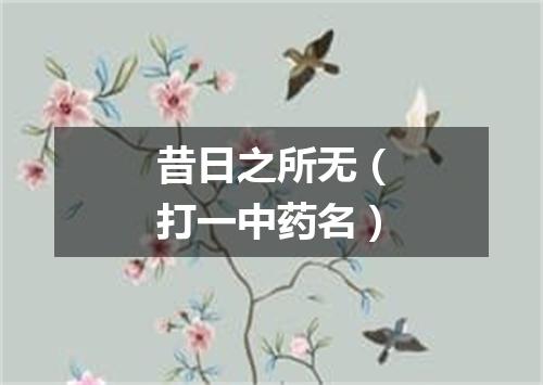 昔日之所无（打一中药名）
