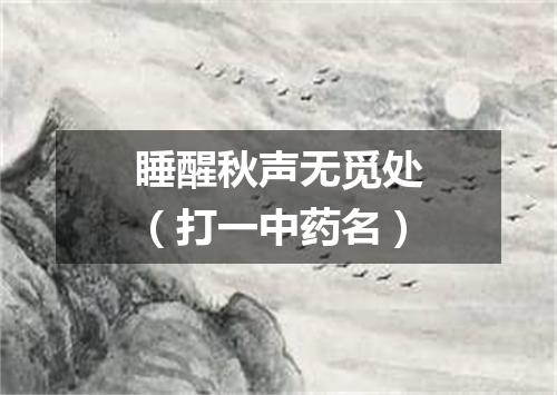 睡醒秋声无觅处（打一中药名）