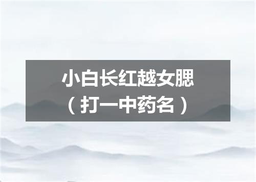 小白长红越女腮（打一中药名）