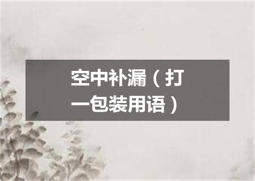 空中补漏（打一包装用语）
