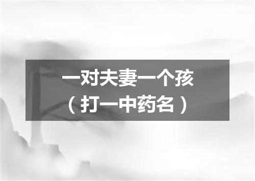 一对夫妻一个孩（打一中药名）