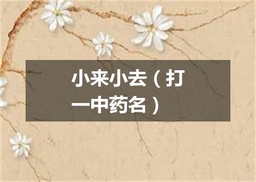 小来小去（打一中药名）