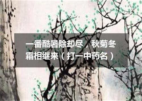一番酷暑除却尽，秋菊冬霜相继来（打一中药名）