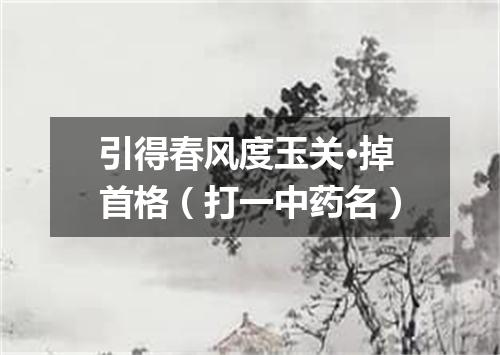 引得春风度玉关·掉首格（打一中药名）