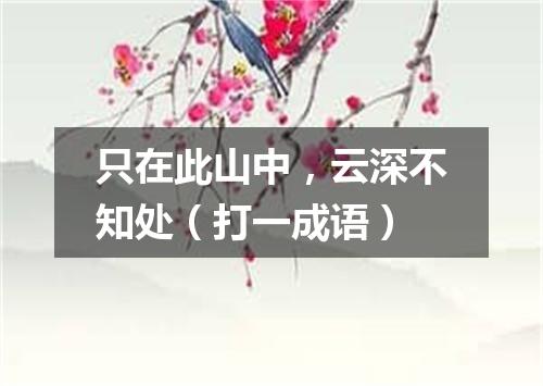 只在此山中，云深不知处（打一成语）