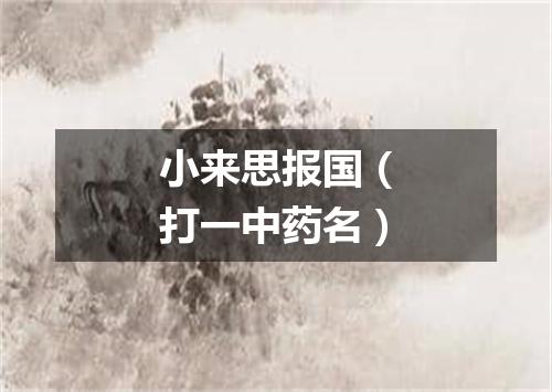 小来思报国（打一中药名）
