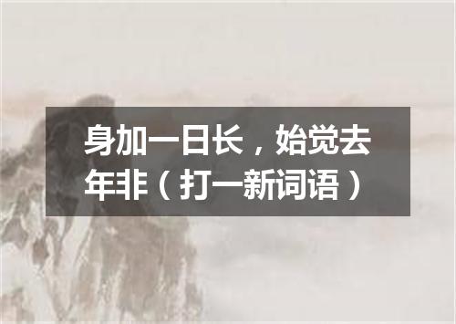 身加一日长，始觉去年非（打一新词语）