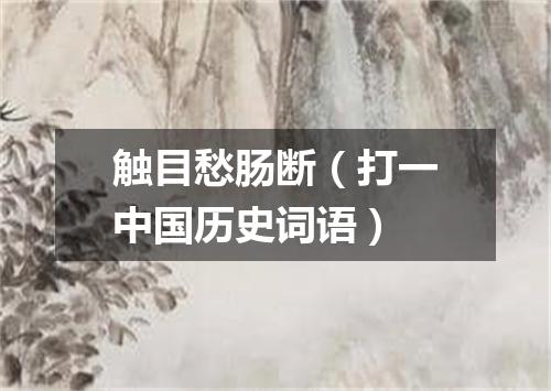 触目愁肠断（打一中国历史词语）