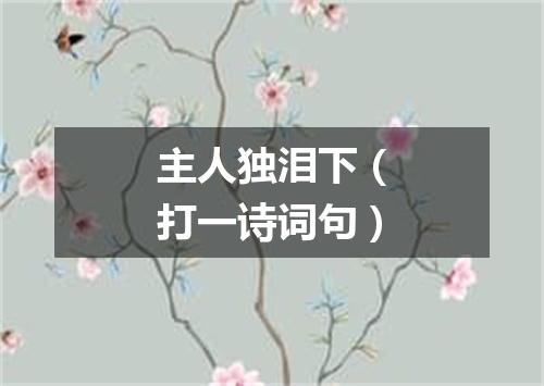 主人独泪下（打一诗词句）