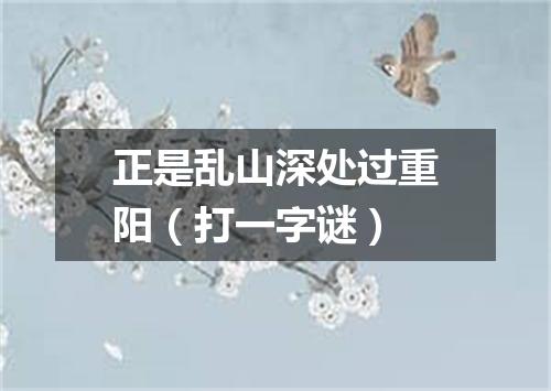 正是乱山深处过重阳（打一字谜）