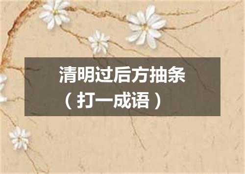 清明过后方抽条（打一成语）