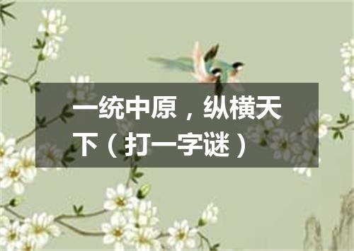 一统中原，纵横天下（打一字谜）