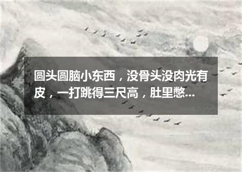 圆头圆脑小东西，没骨头没肉光有皮，一打跳得三尺高，肚里憋着一包气。（打一体育器材）