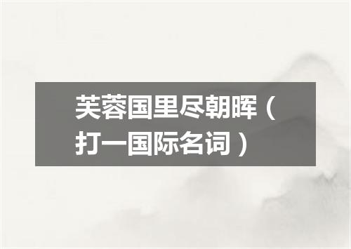 芙蓉国里尽朝晖（打一国际名词）
