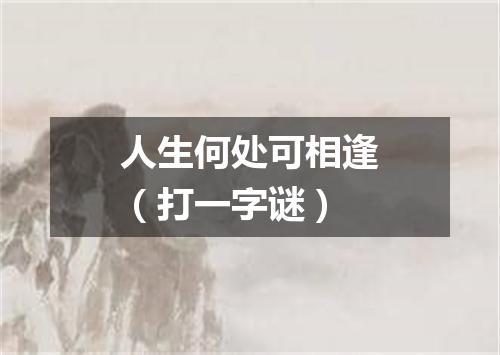 人生何处可相逢（打一字谜）